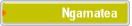 Ngamatea